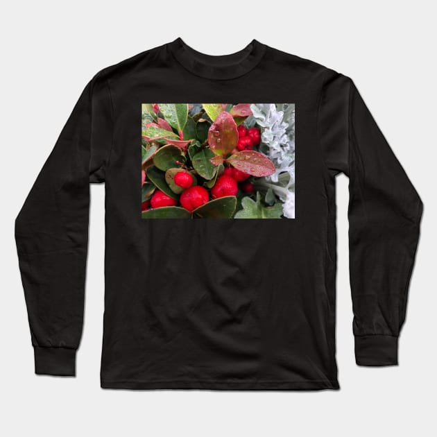 Peaceful Red Christmas Berries in the Winter Rain Long Sleeve T-Shirt by Photomersion